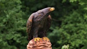 Hand-carved wooden eagle statue perched on a carved pedestal, highlighting expert timber craftsmanship for handcrafted tables and doors.