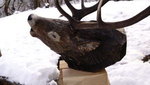 Handcrafted wooden elk head sculpture on a pedestal, illustrating the rustic woodcraft behind our custom wooden tables and doors.
