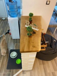 Handcrafted wooden table displayed in a showroom, topped with a small topiary and a decorative 'Relax' sign to showcase the wood furniture business.